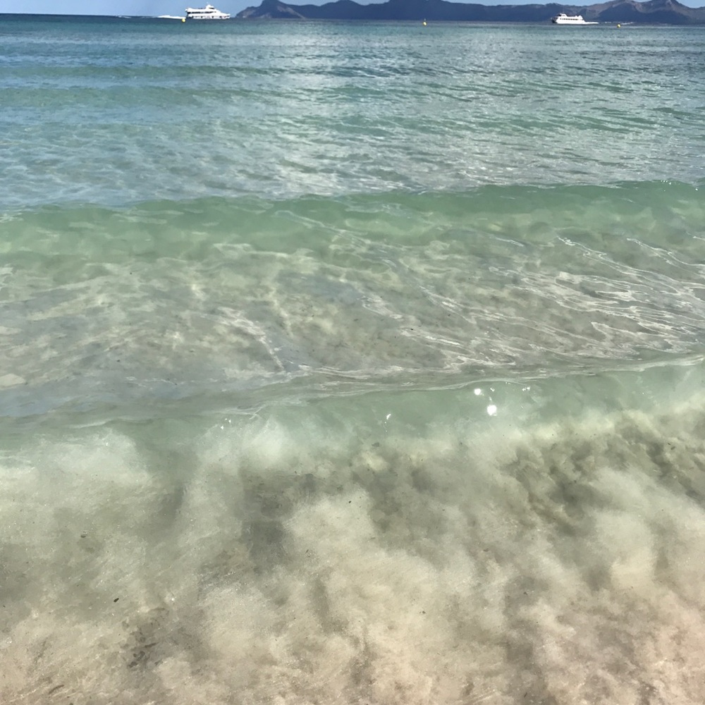 Meet your Posher, Analisa